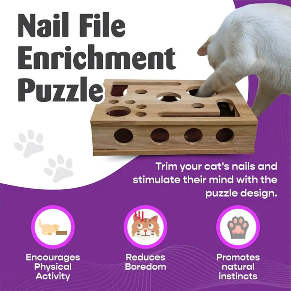 Krallenfeile-Spielbox für Katzen