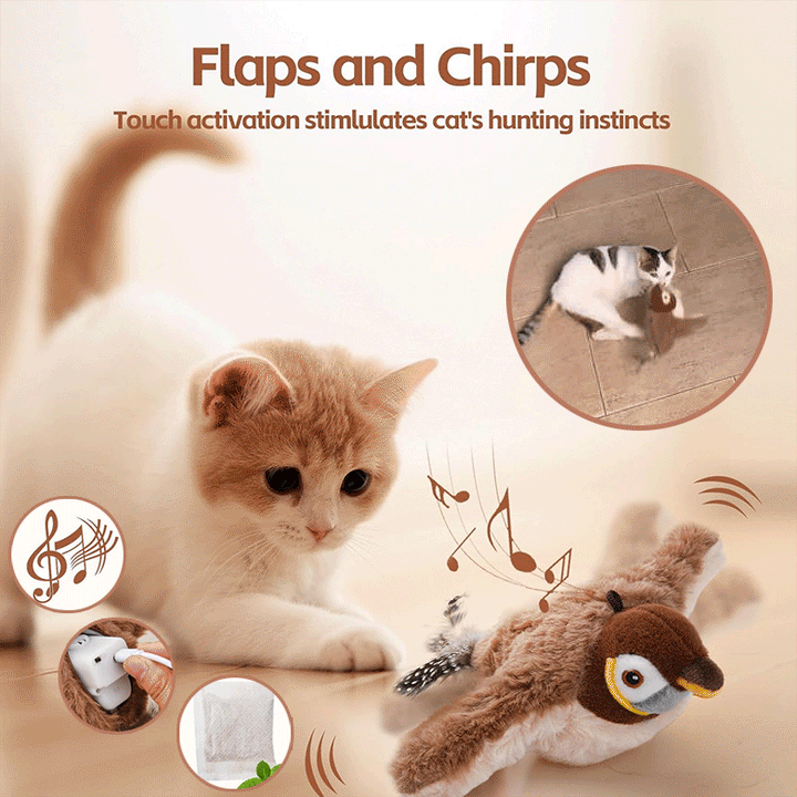 Interaktives Vogelspielzeug für Katzen mit Sound