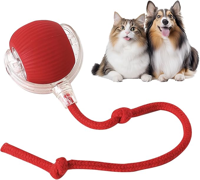 Interaktiver Spielball für Hunde & Katzen