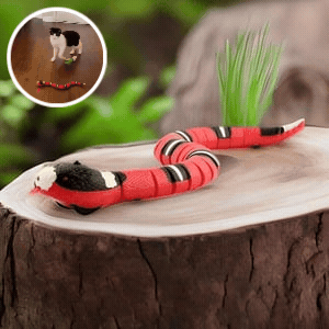 SnakeToy – Interaktiver Spielkamerad für die Katze