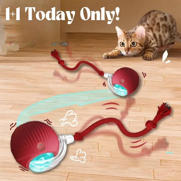 PetBounce Rollball-Spielzeug